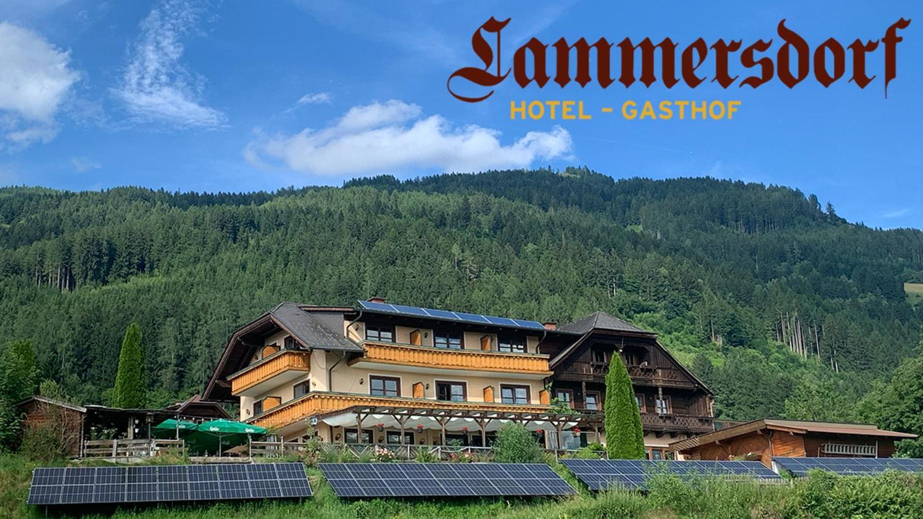 Hotel-Gasthof Lammersdorf Millstatt Buitenkant foto